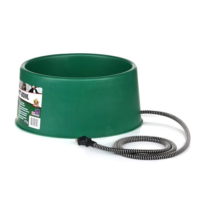 1. Farm Innovators Heated Pet Water Bowl, 60W — Best Overall