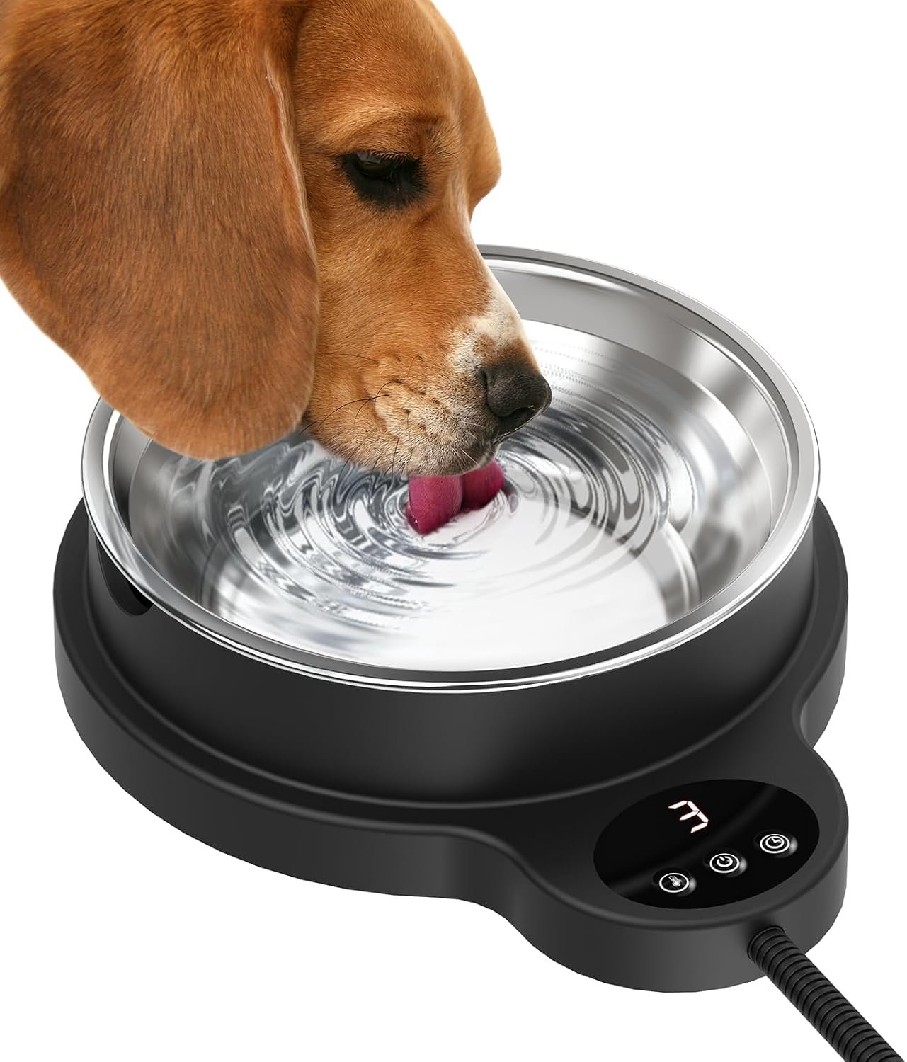 6. LQTTEK Heated Water Bowl, 50 oz — Best Adjustable Features