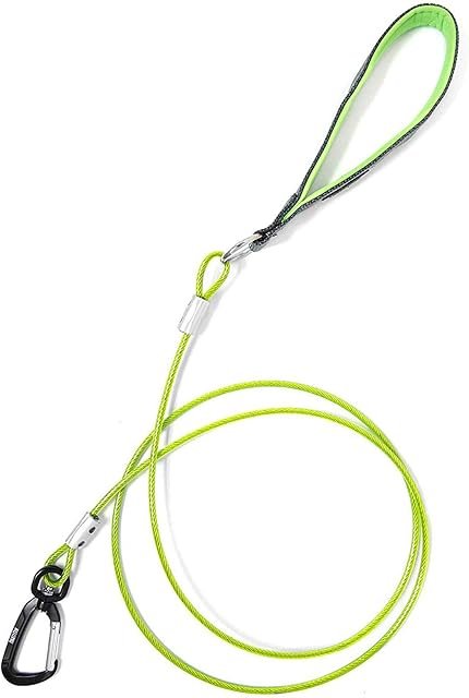 2. Mighty Paw Chew Proof Cable Leash — Best for Chewers