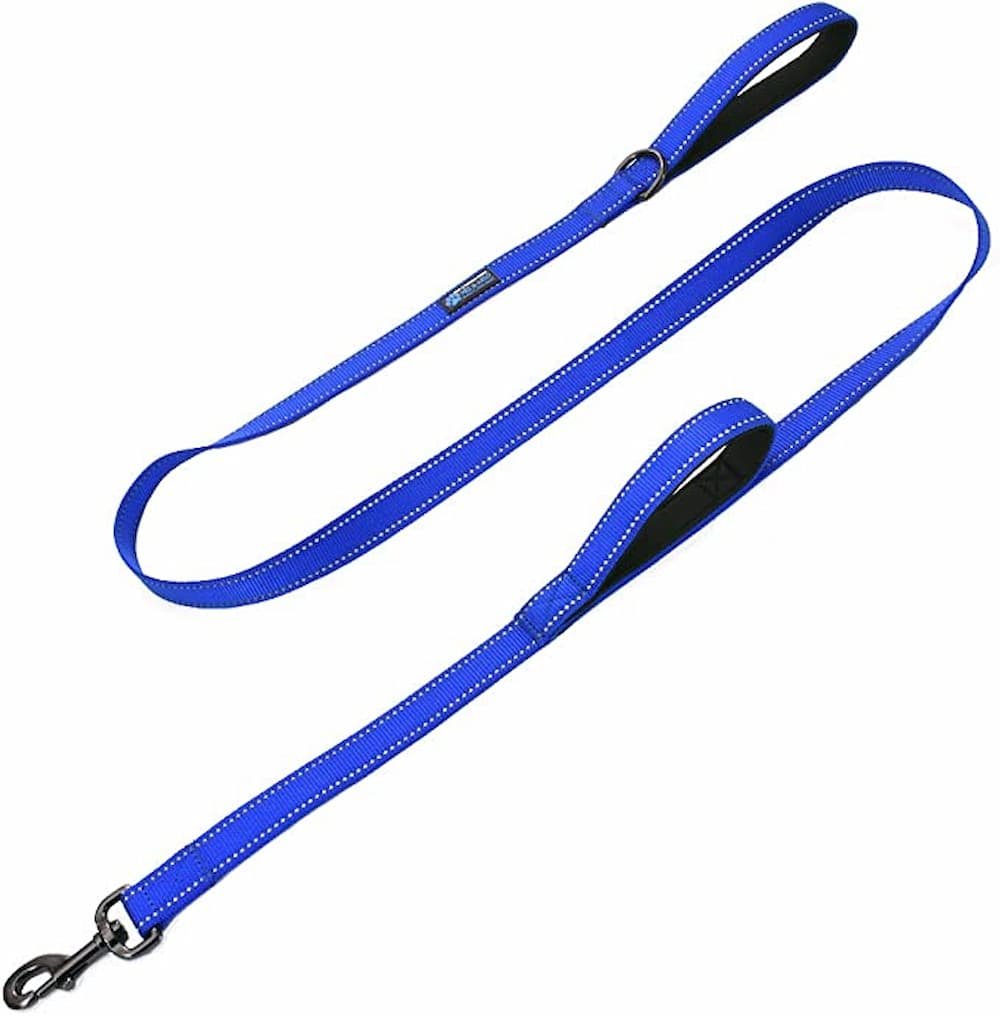 4. Max and Neo Double Handle Traffic Leash — Best Value (and It Donates a Leash)