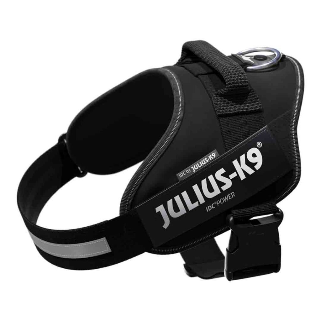 Julius-K9 IDC Powerharness Review 2026: Is It Worth the Premium?