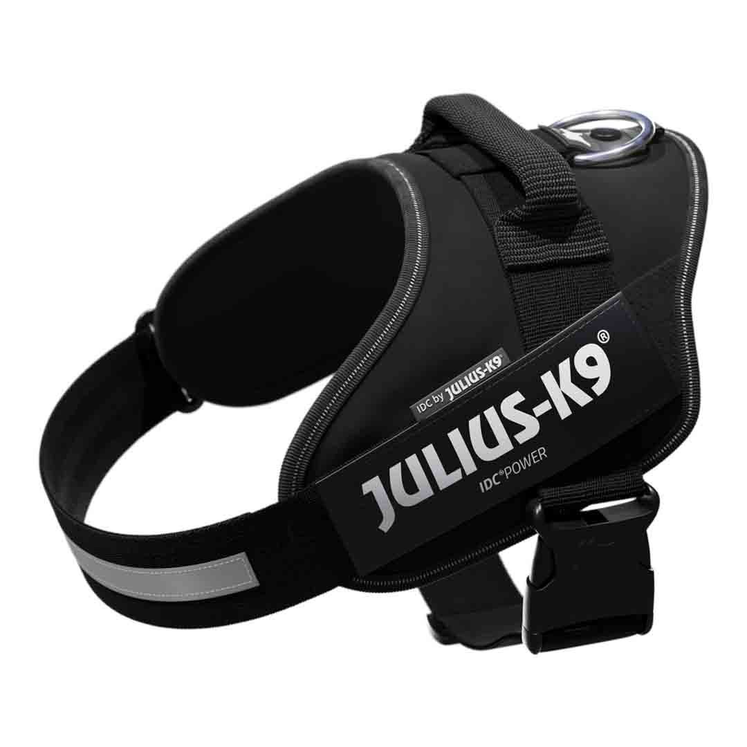 1. Julius-K9 IDC Powerharness — Best Overall