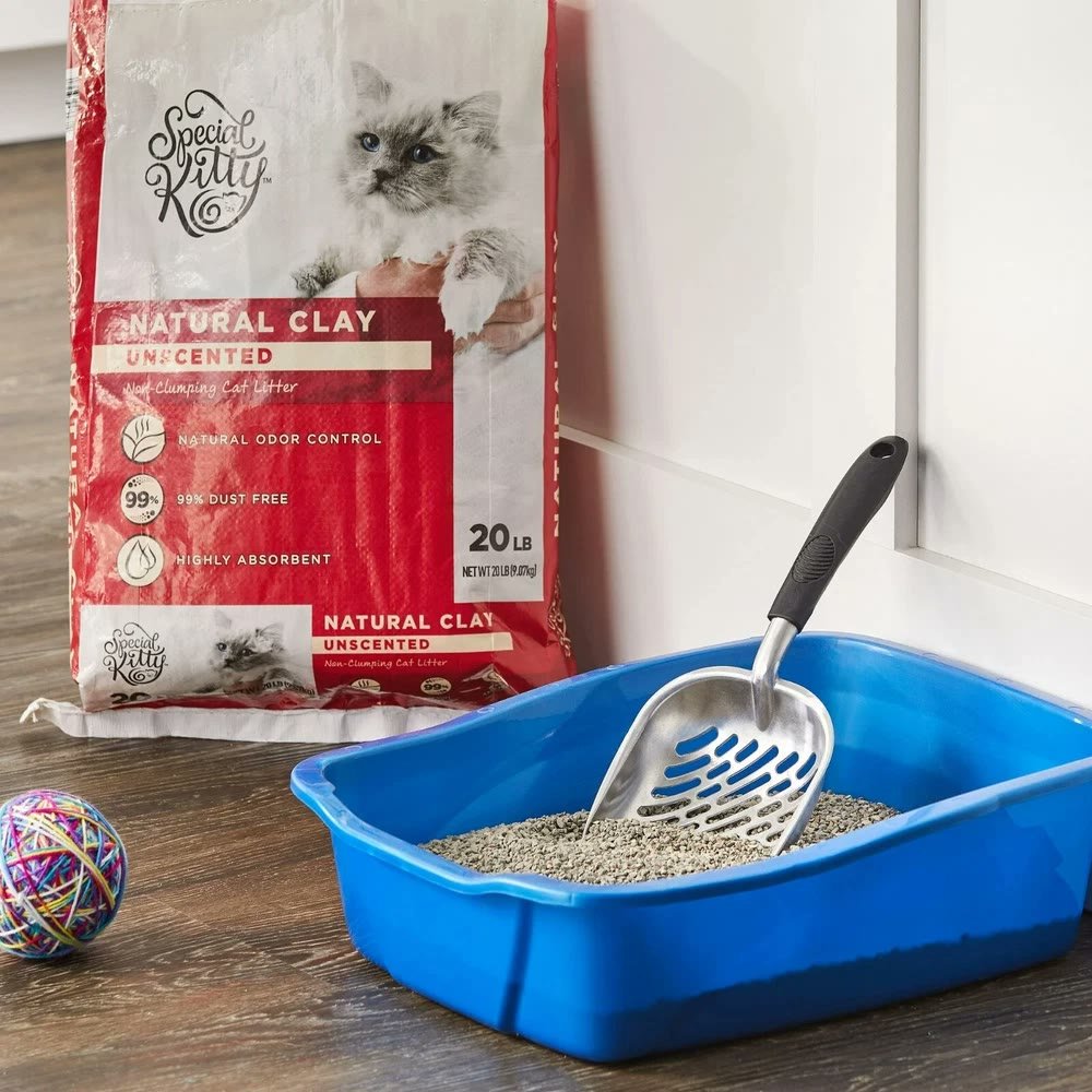 2. Special Kitty Unscented Non-Clumping Natural Clay (20 lb) — Cheapest Alternative