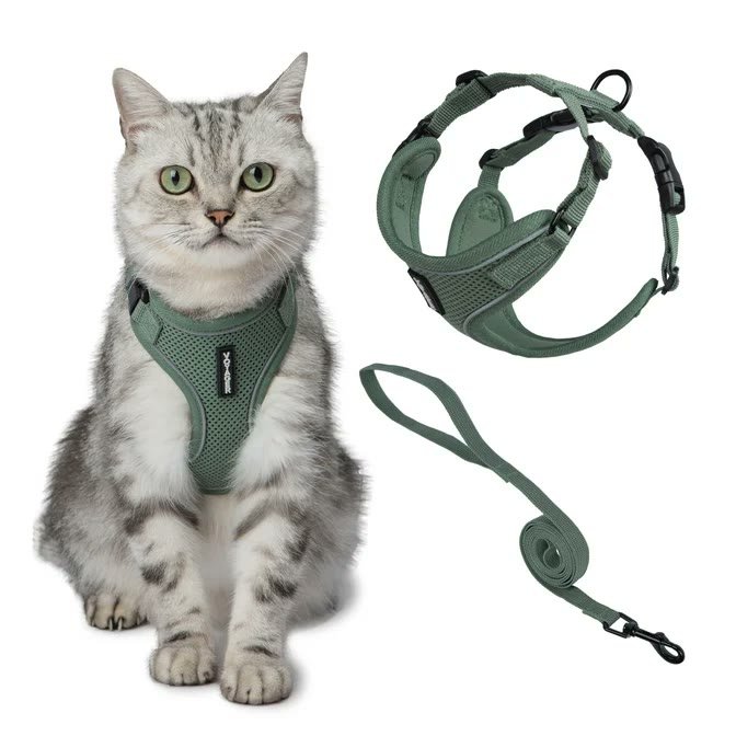 2. Voyager Step-in Air Cat Harness — Best Budget Step-in Alternative