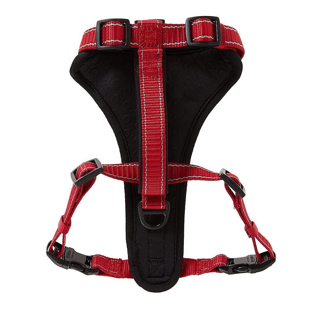 4. KONG Max Ultra-Durable Neoprene Padded Chest Plate Harness — Best Legacy Pick (Resale)