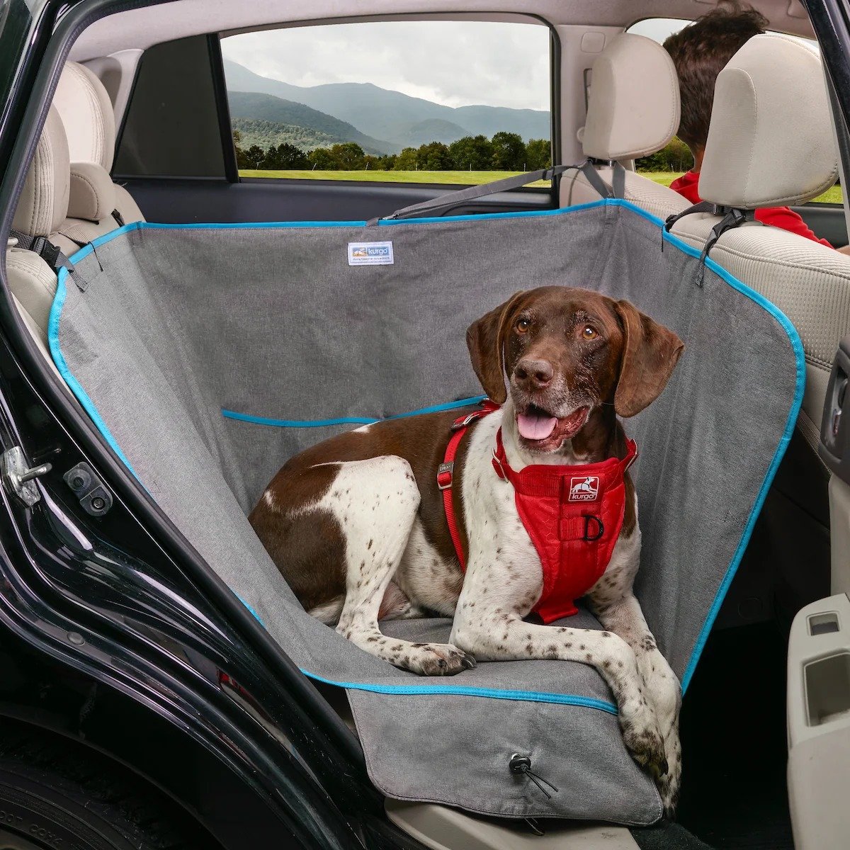 Kurgo Heather Half Hammock at a Glance