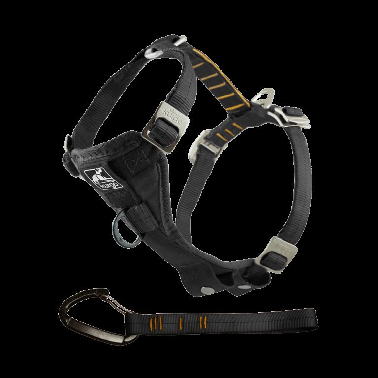 3. Kurgo Tru-Fit Smart Harness — Best Budget Everyday