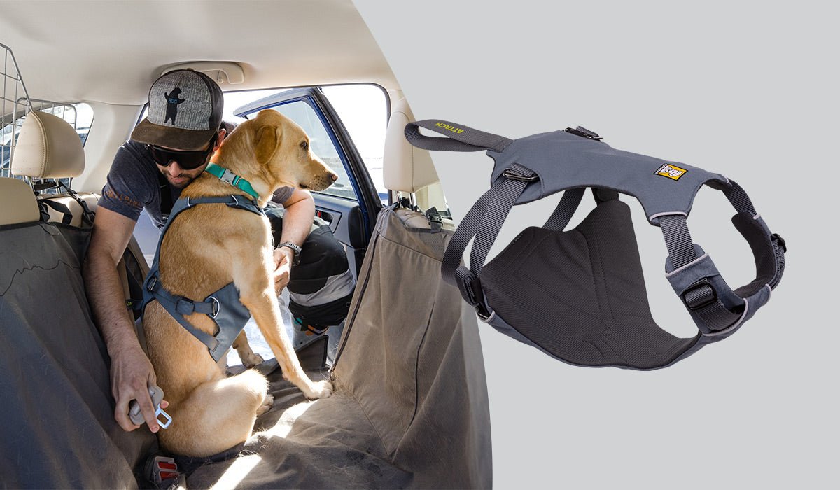 Ruffwear Load Up — Best Heavy-Duty