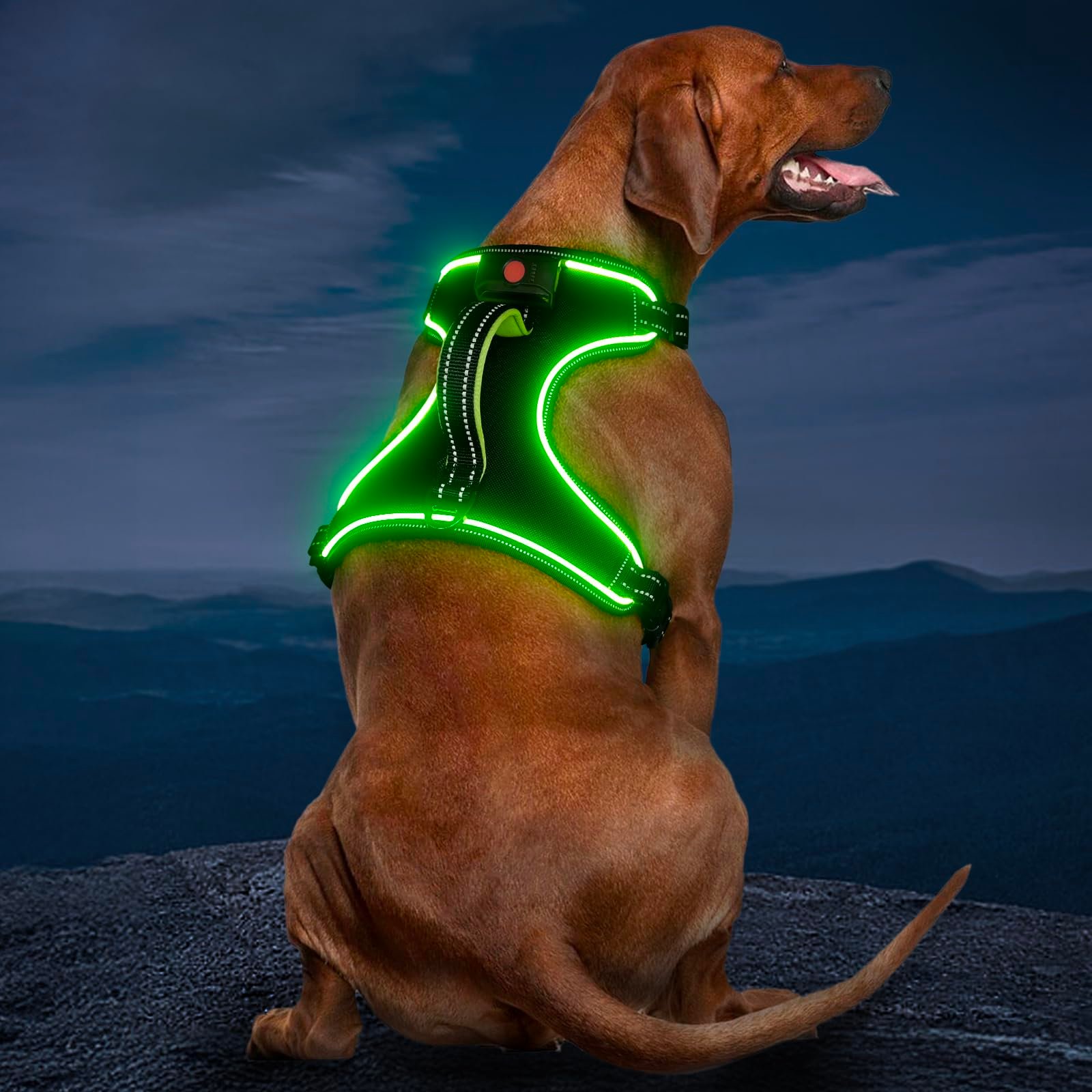 2. Vizbrite LED Dog Harness — Best No-Pull Light-Up