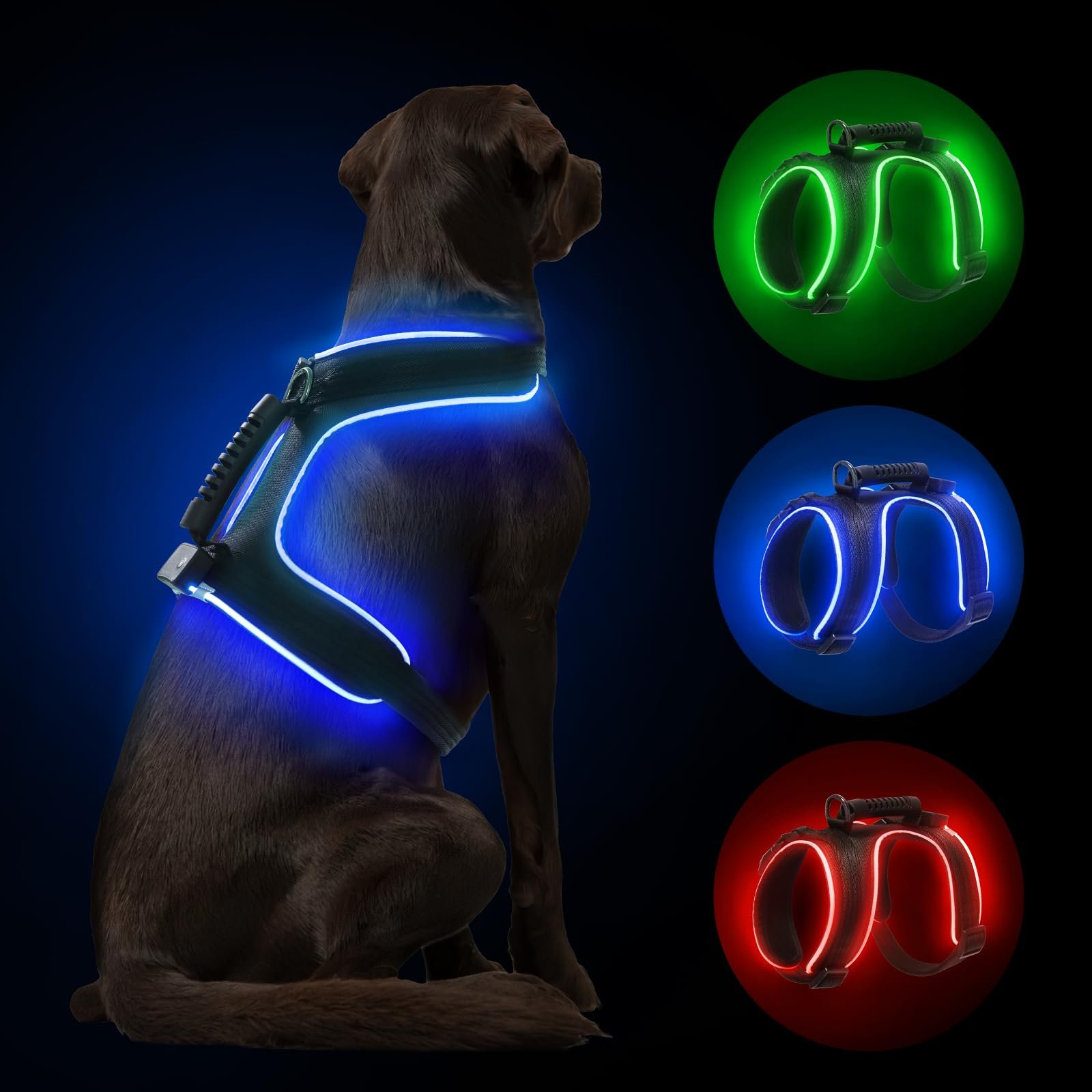 3. MASBRILL Light Up Dog Harness — Best Value Adjustable