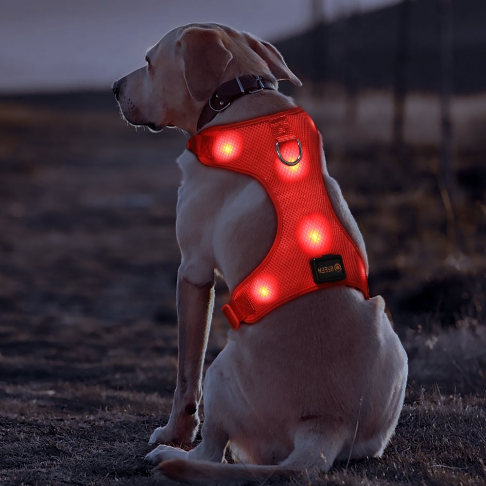 4. BSEEN Light Up Dog Harness — Best Budget Mesh Vest