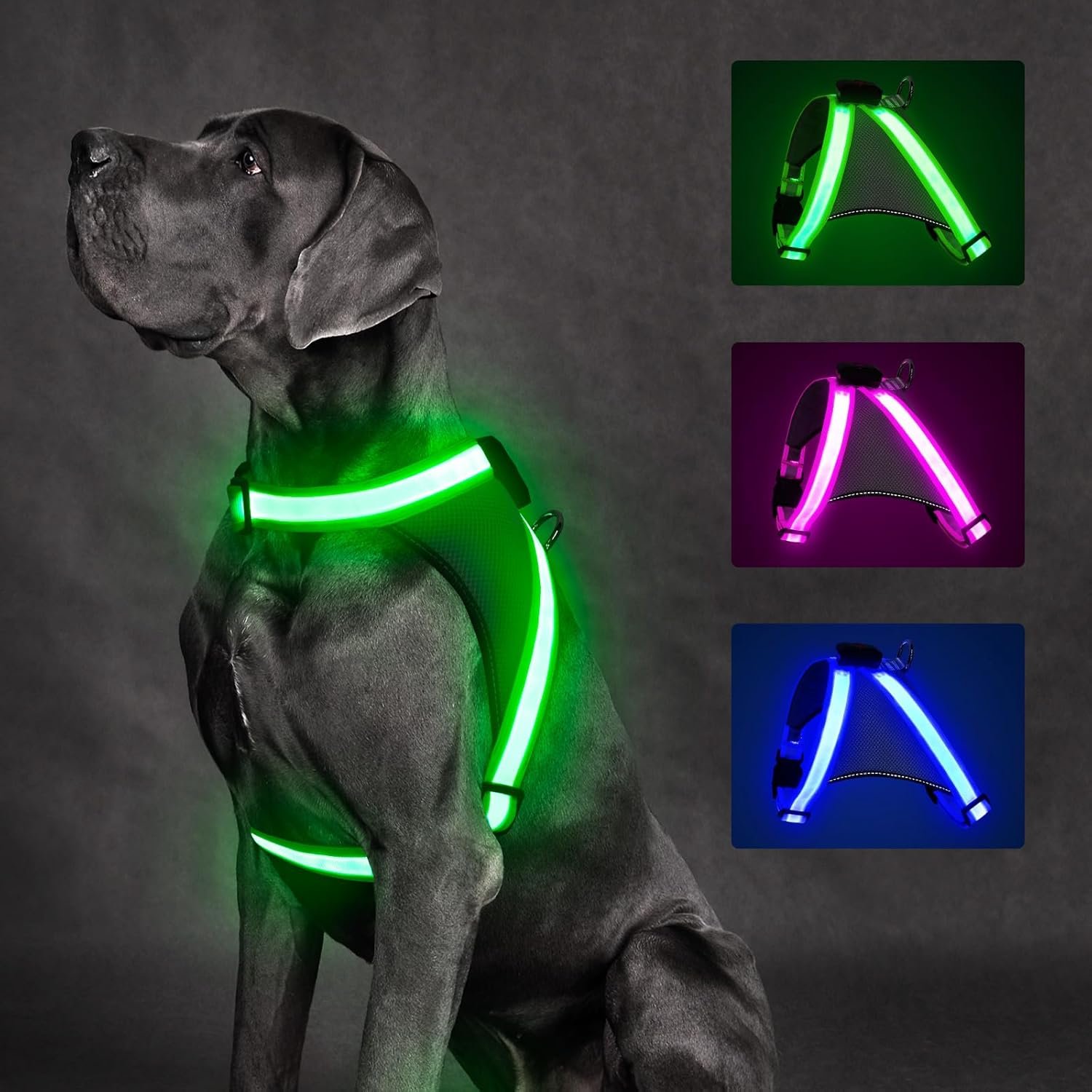 5. ChalkLit Light Up Dog Harness — Budget Pick