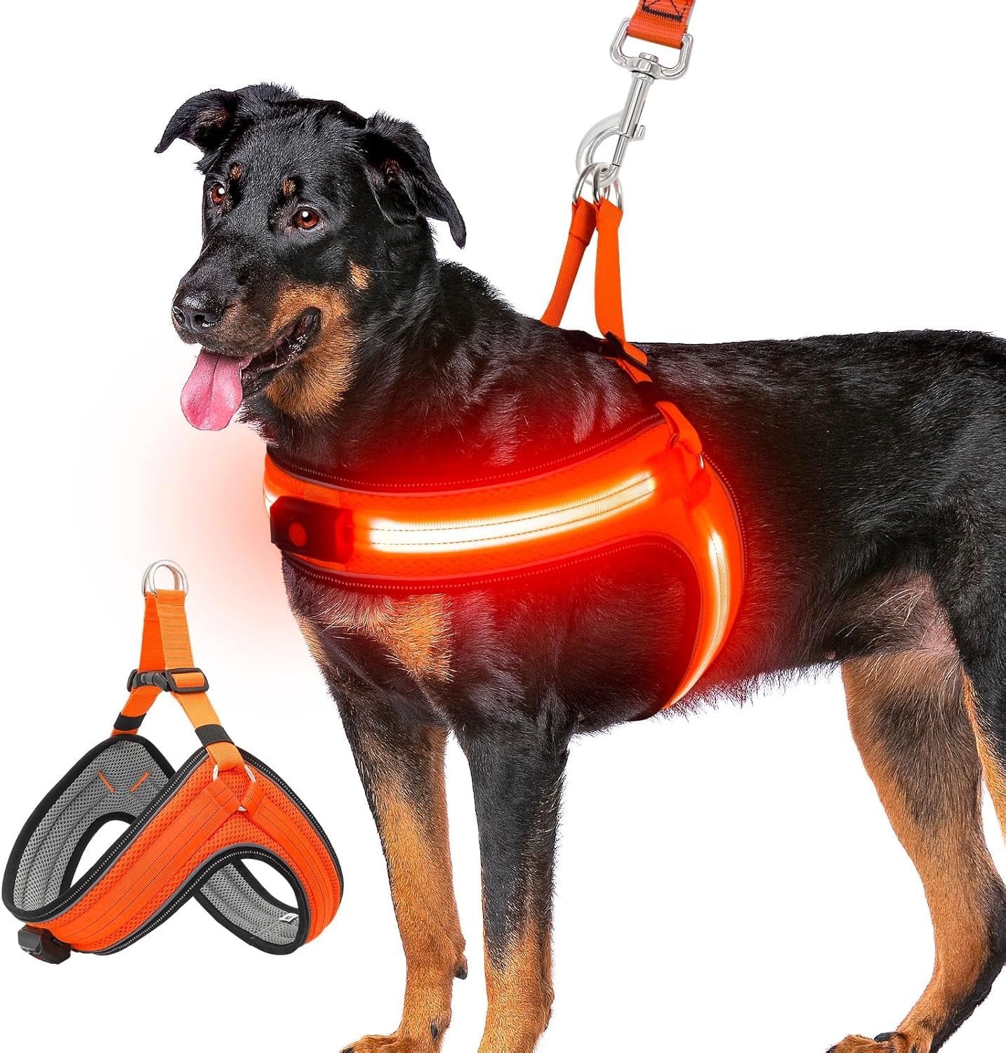 6. Illumiseen LED Dog Harness — Brand Pick