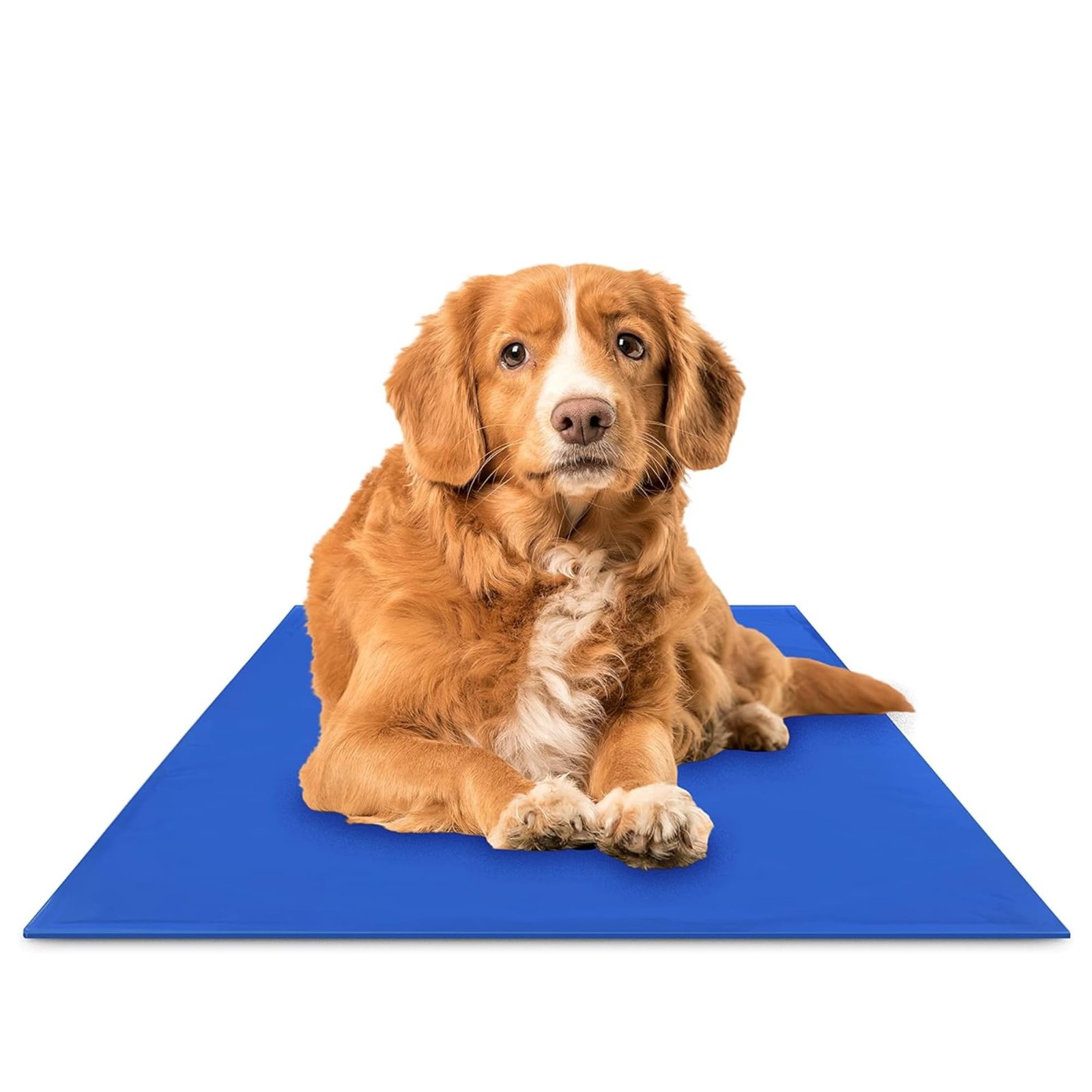 6. The Green Pet Shop Chillz Gel Mat (Medium) — The weightless option
