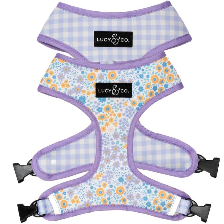 3. Lucy & Co. No-Pull Harness (You're a Square) — Best Classic Print