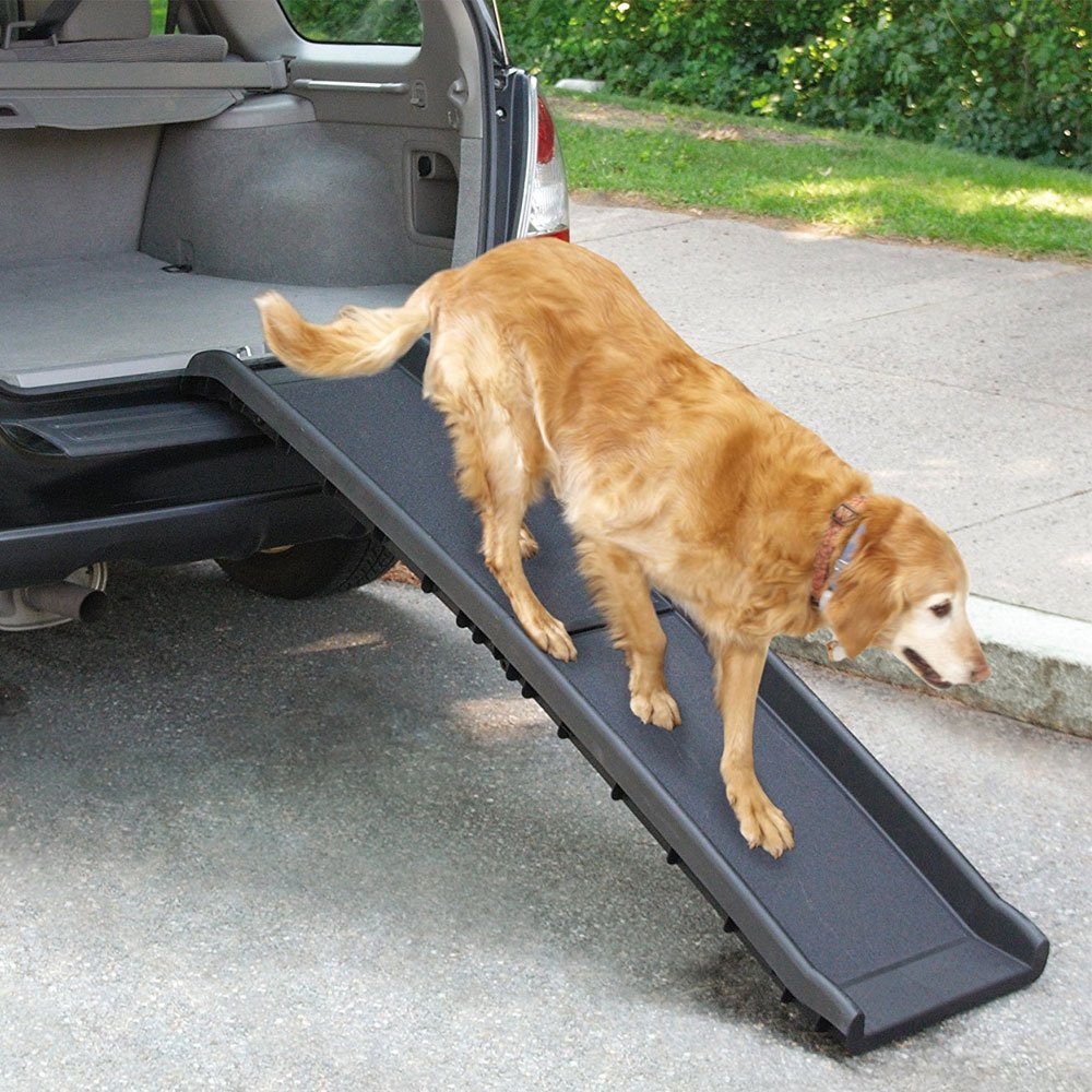 Guardian Gear Tri-Fold Ramp — Best Premium Travel Companion