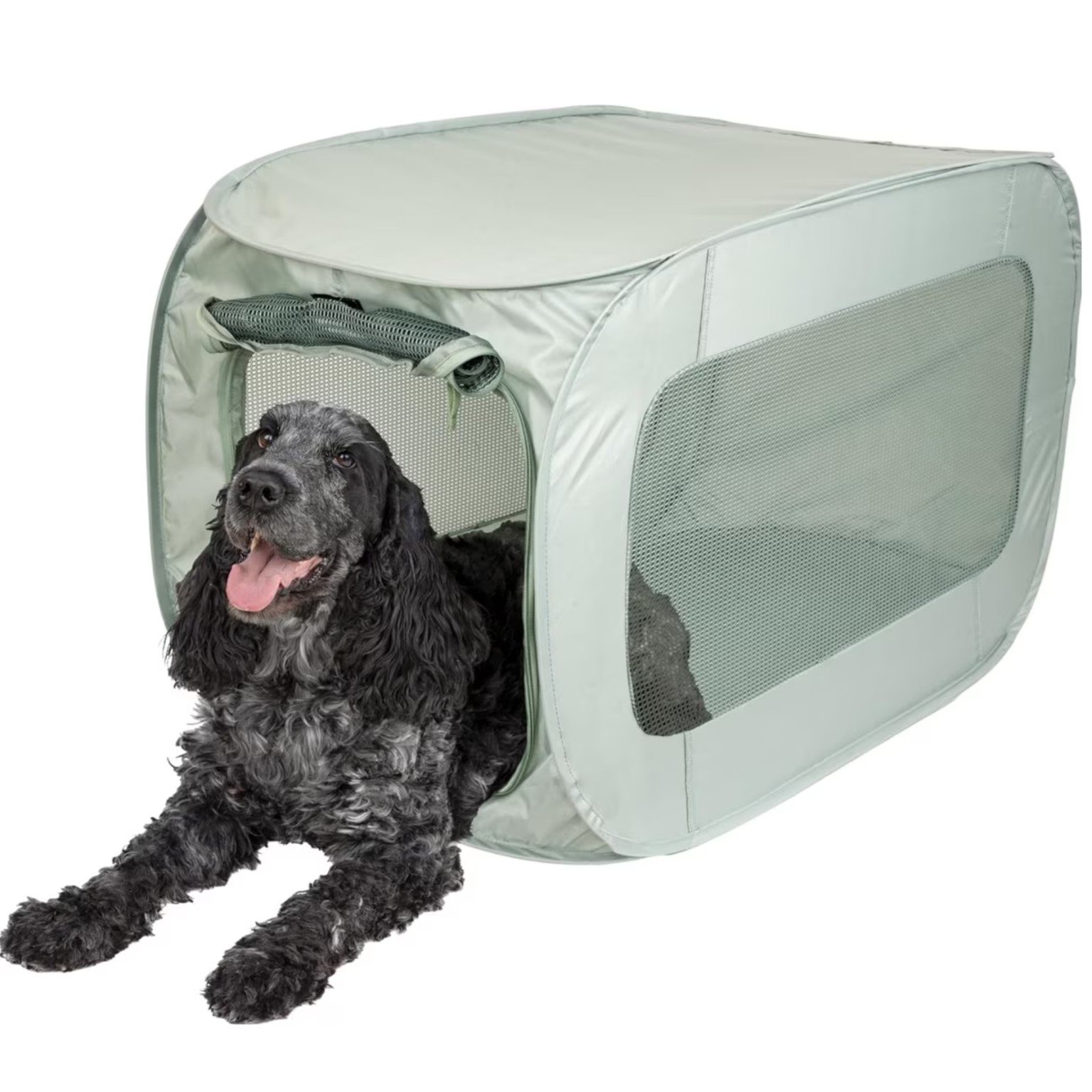 SportPet Designs Soft-Sided Pop-Open Kennel (Up to 50 lbs) — Best soft luxury