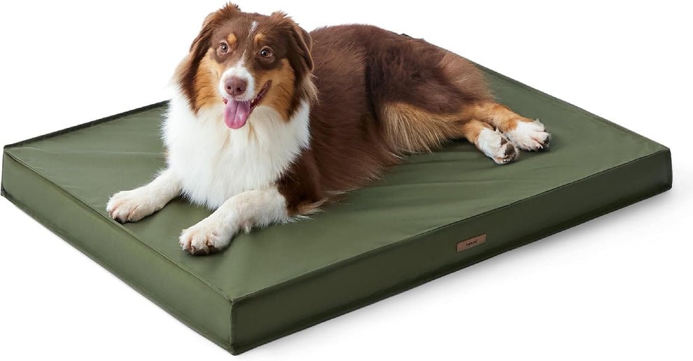 5. LE SURE Outdoor Waterproof Dog Bed, Medium — Best waterproof foam