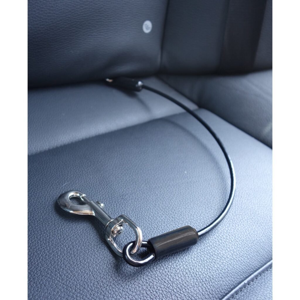 Non Slip Dog Seatbelt Leash 2026: 6 Secure Picks