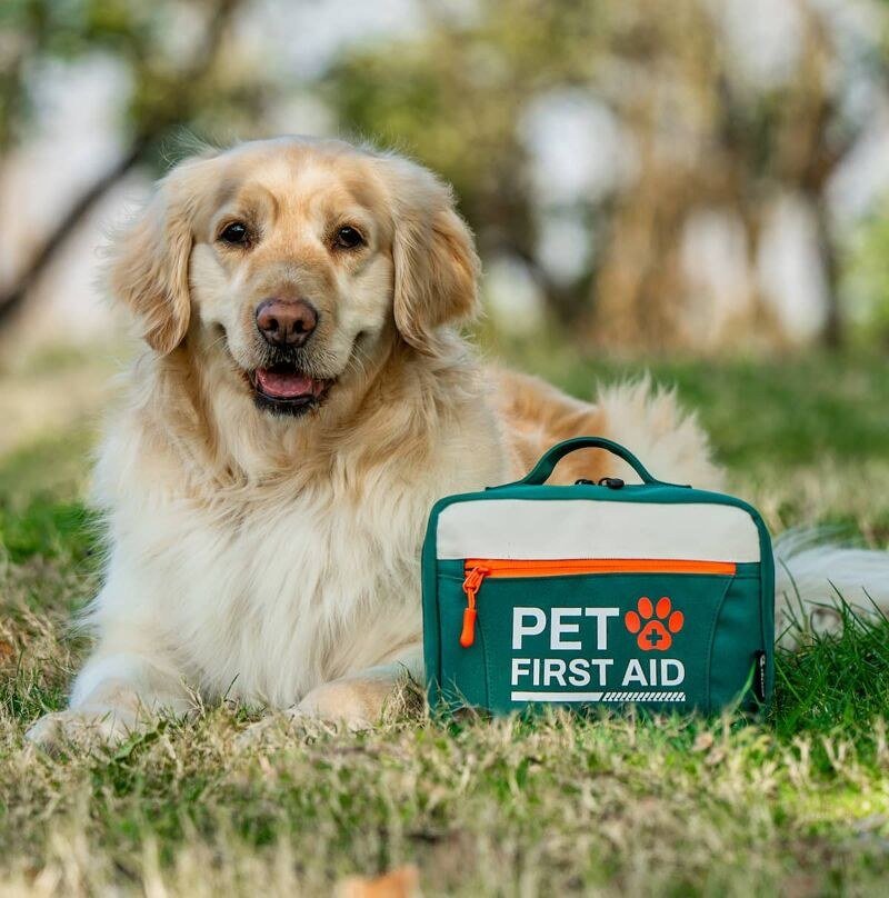 3. RHINO RESCUE Pet First Aid Kit — Best Stocked