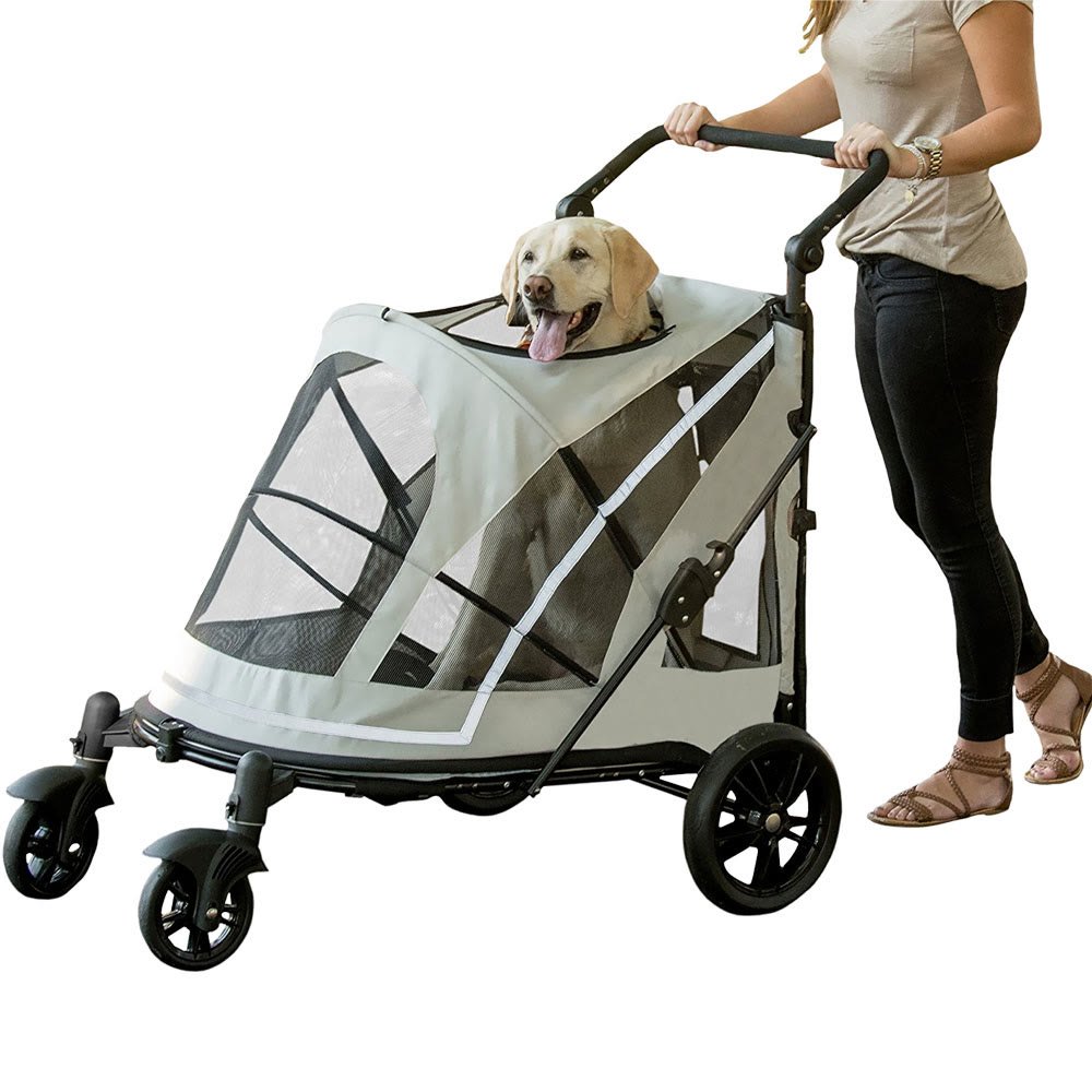 2. No-Zip Expedition — Best for Big Dogs