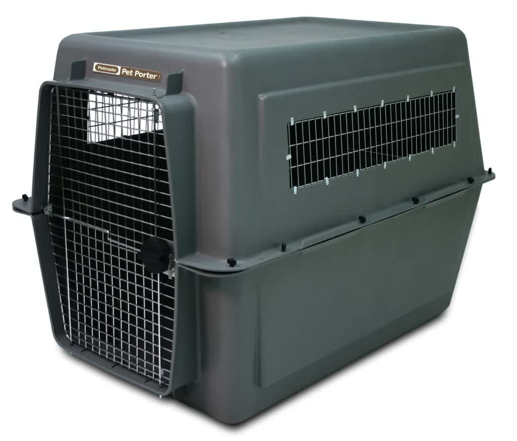 4. Pet Porter 32" — Best for Medium-Large Dogs