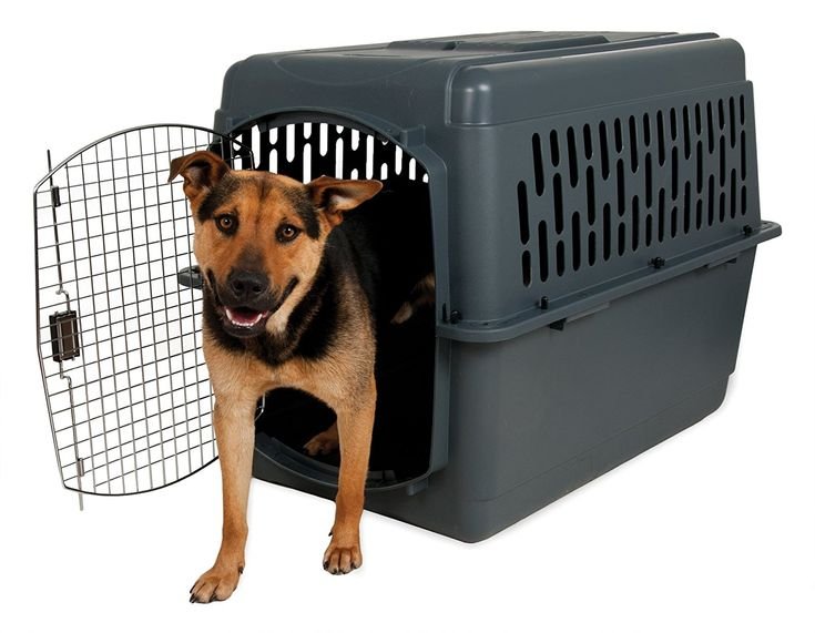 6. Pet Porter 40" — Best Extra-Large