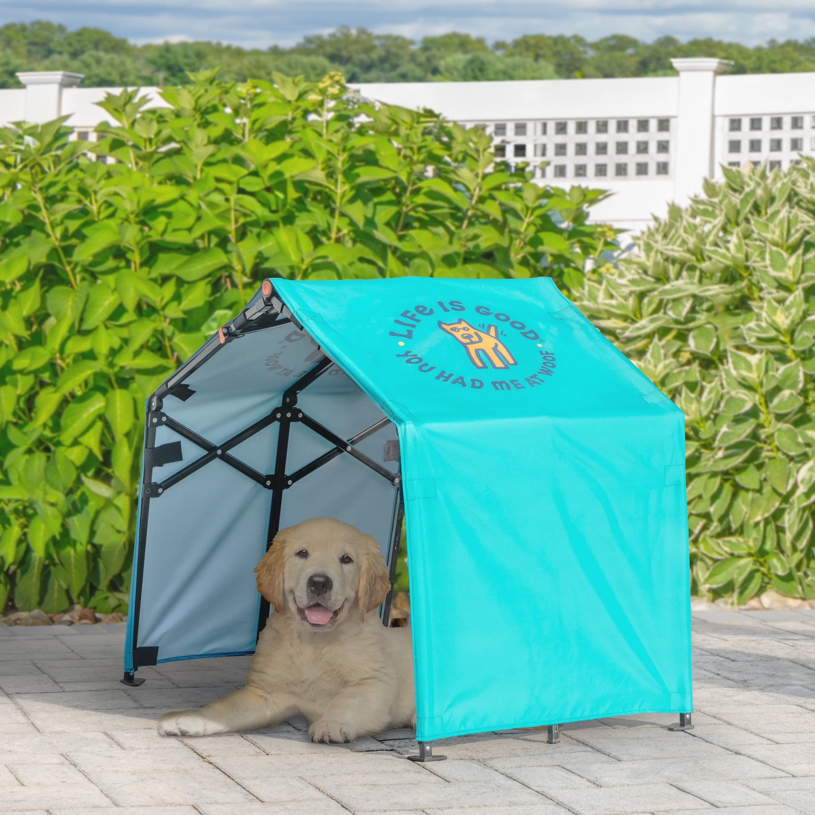 Life is Good 3.5' Outdoor Pet Shade — Best Steel-Frame Canopy