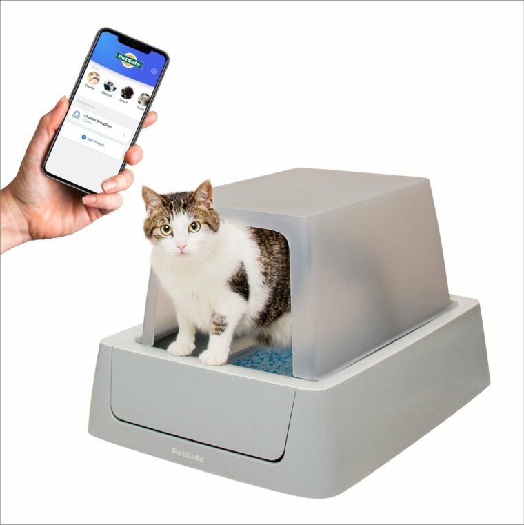 4. PetSafe ScoopFree Crystal Smart — Best Connected Value