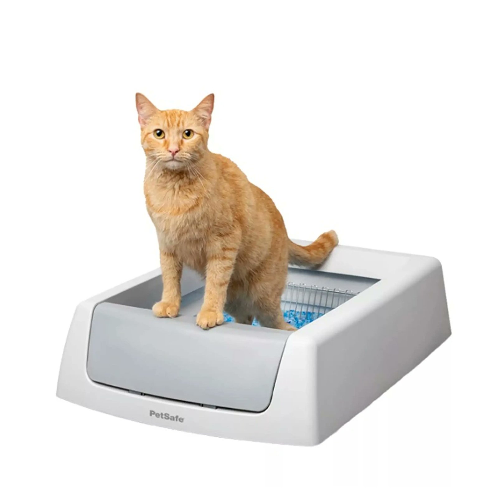 5. PetSafe ScoopFree Crystal Classic — Budget Pick