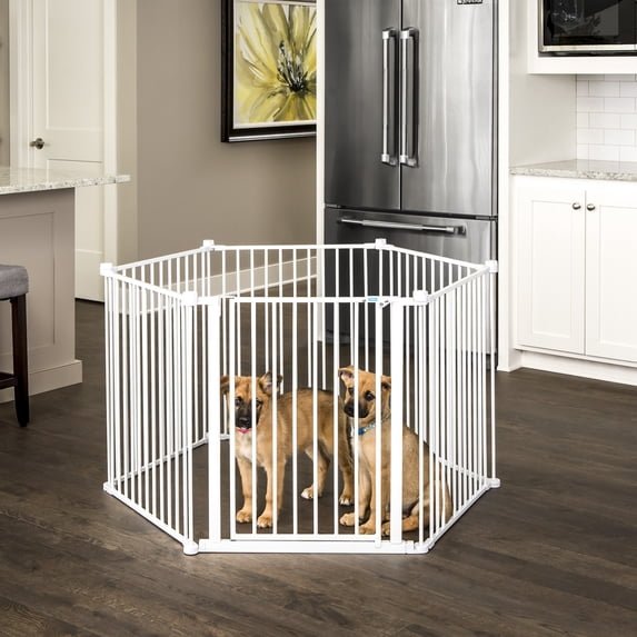 Carlson Foldable Steel Play Pen (8-Panel) (62"W x 26"H) — Best Sturdy Value