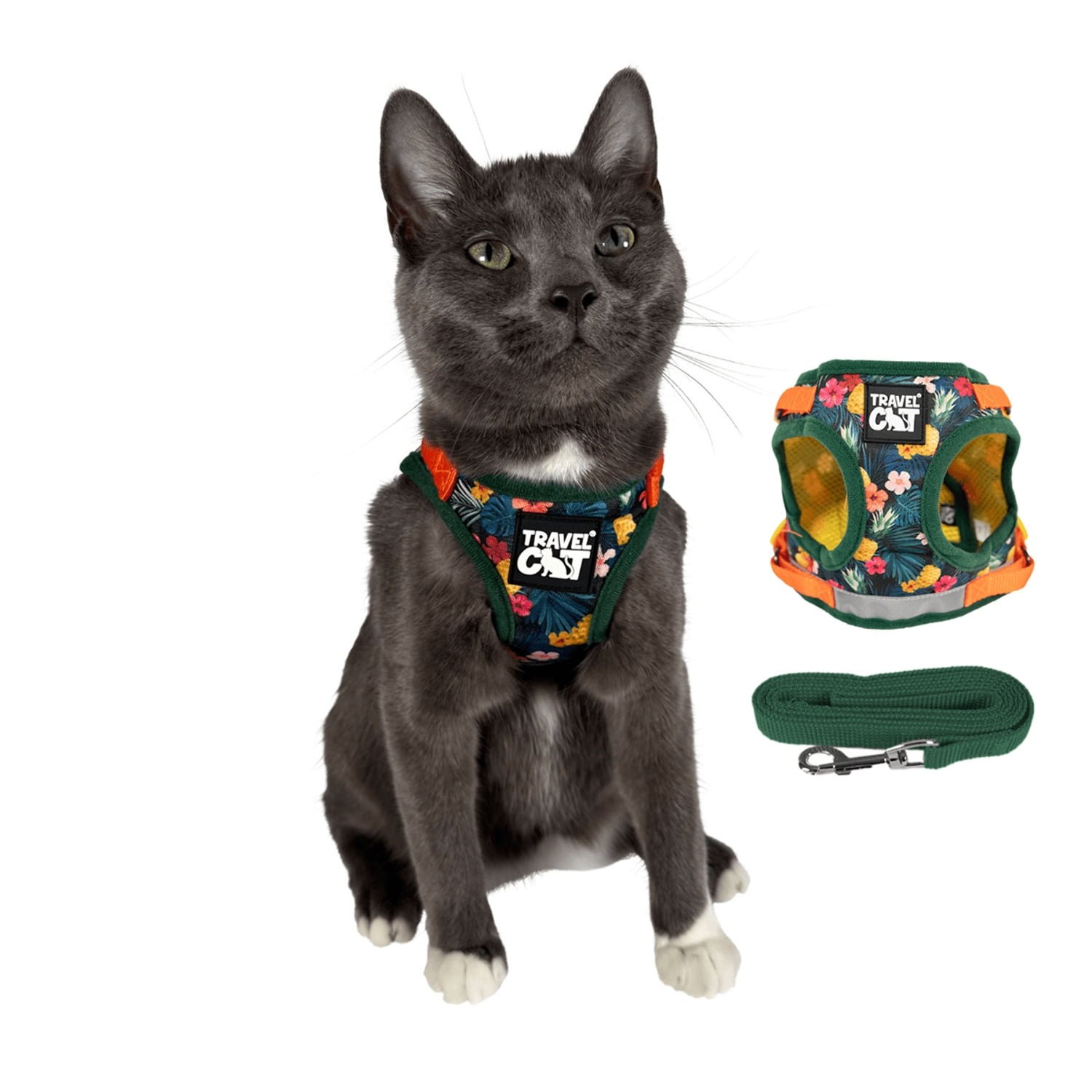 Travel Cat True Adventurer (H2) — Best Premium