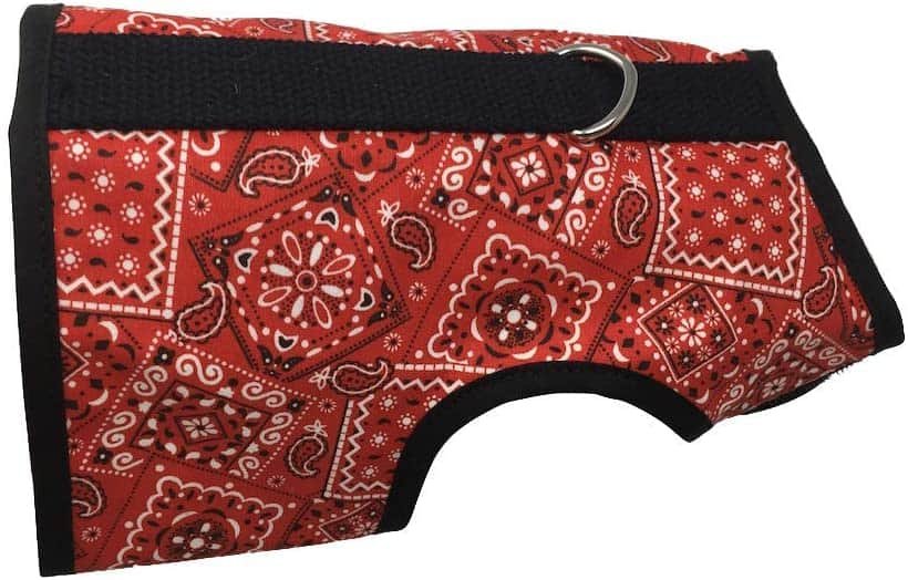 Kitty Holster Cat Harness — Best Quality