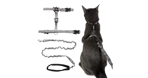 Travel Cat H-Style Bungee Leash Set — Best Lightweight Premium