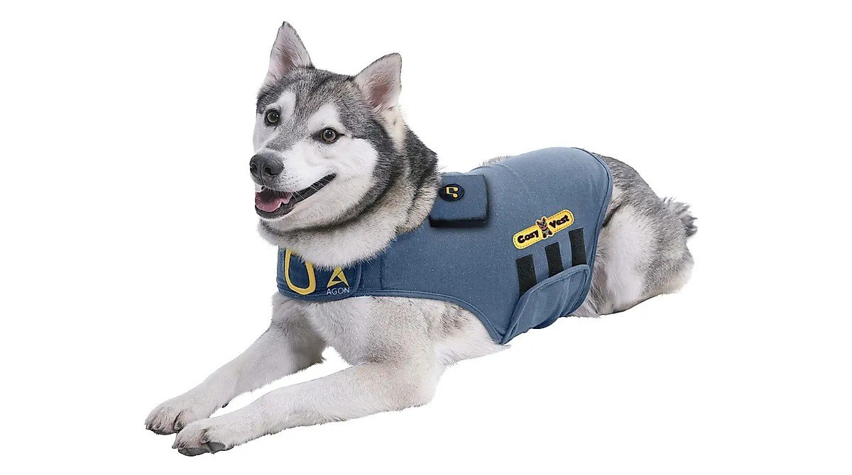 CozyVest 3-in-1 dog anxiety vest in gray with compression wrap