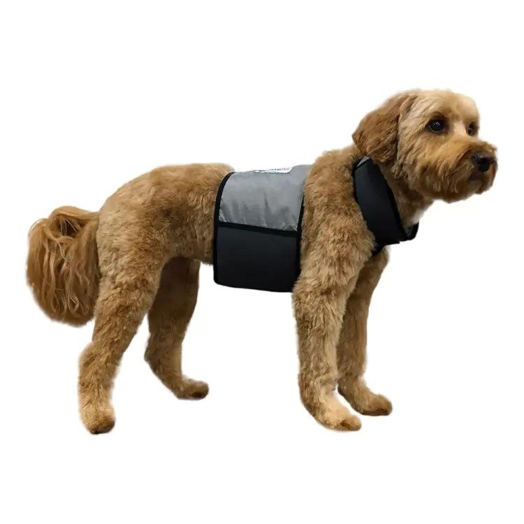 CoolerDog dog cooling vest and cooling collar, medium