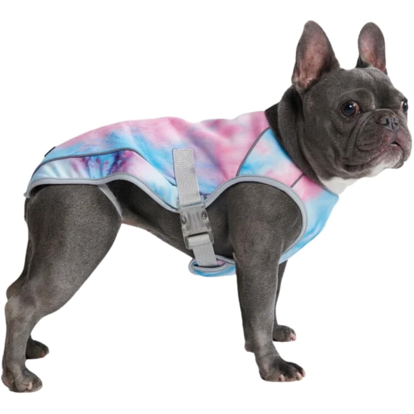 Spark Paws Chilltech dog cooling vest, Snowcone