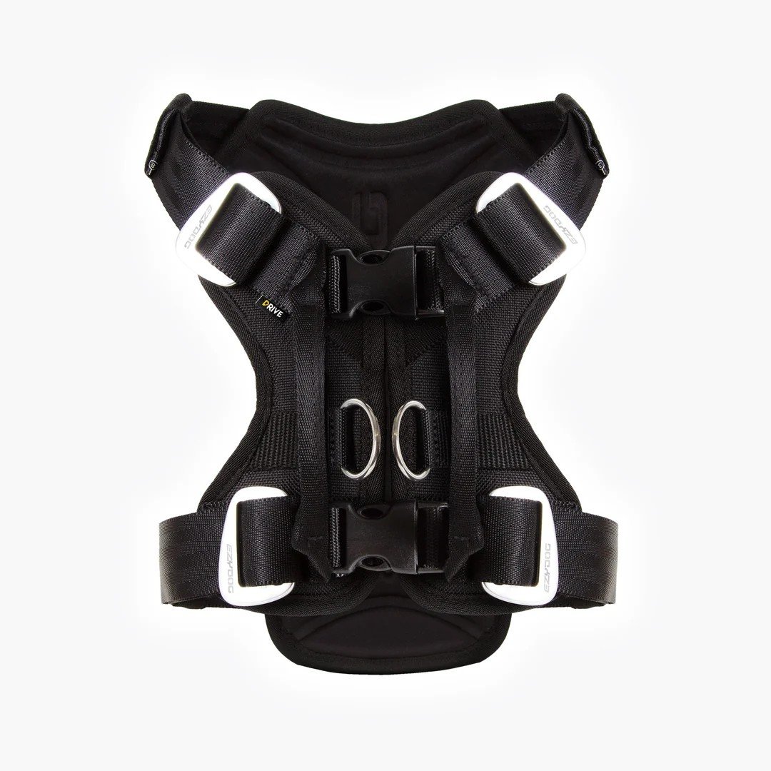 EzyDog Drive dog car harness in black with webbing seat belt handles