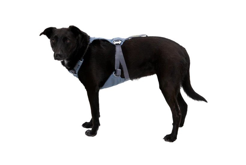 Ruffwear Load Up dog car harness with strength-rated metal hardware