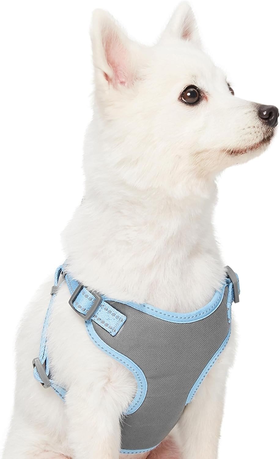 Blueberry Pet pastel blue reflective dog harness with seatbelt clip