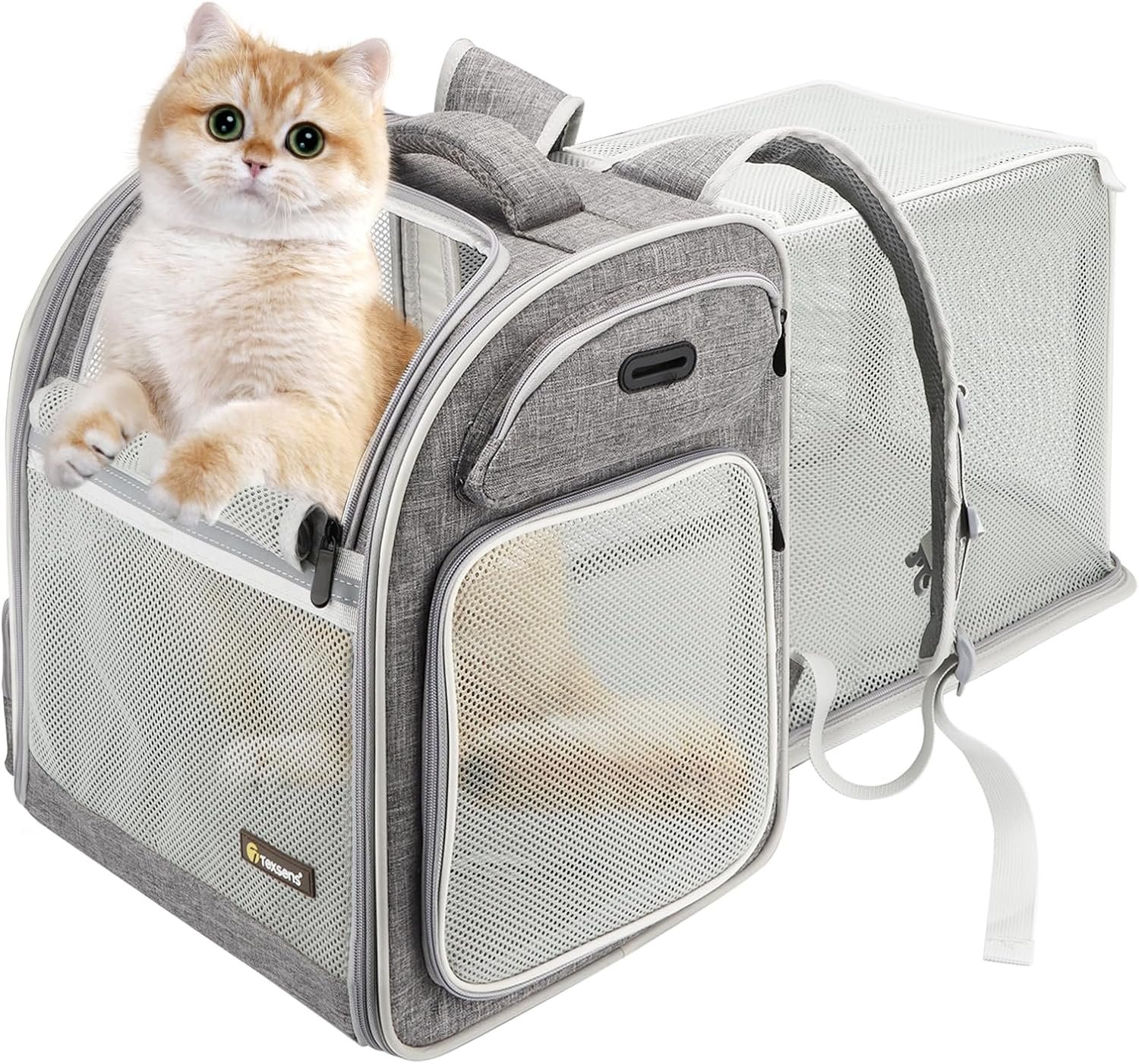 Texsens expandable cat backpack carrier in gray with a cat looking out