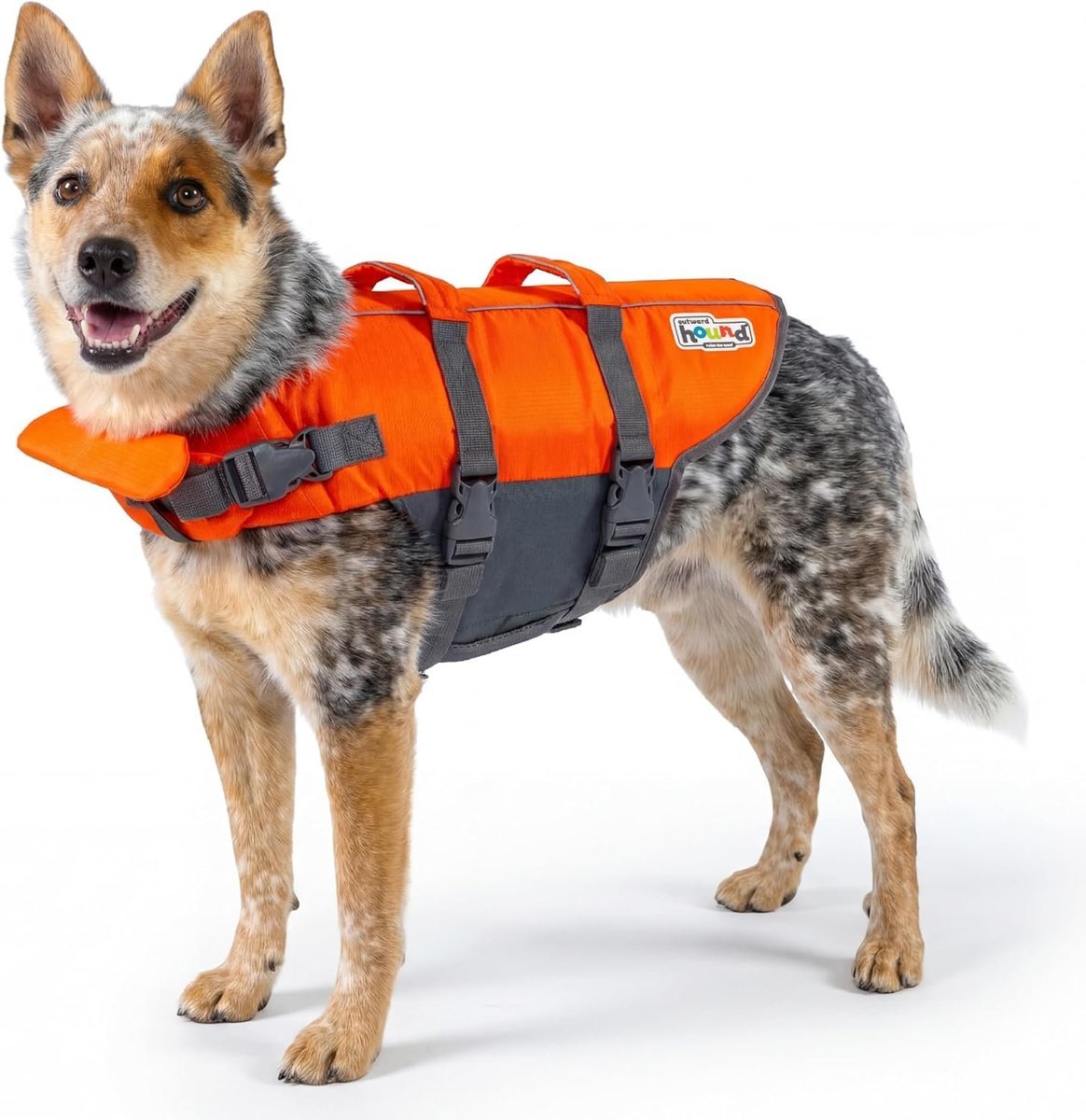 Outward Hound Granby Splash Dog Life Jacket