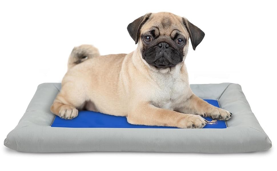 Arf Pets Dog Self Cooling Bed Small, a blue gel cooling mat surrounded by a gray foam bolster bed