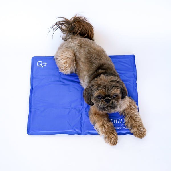 The Green Pet Shop Chillz Gel Mat in blue with a small dog lying on it