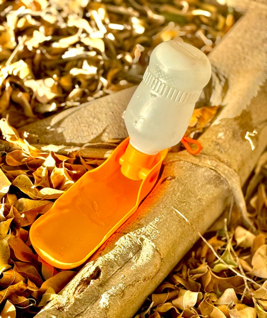Gulpy pet water dispenser with flip-out tray, orange