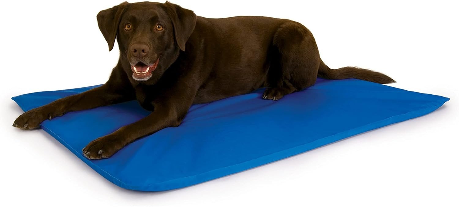 Chocolate labrador lying on the K&H Pet Products Cool Bed III blue water-fill cooling mat