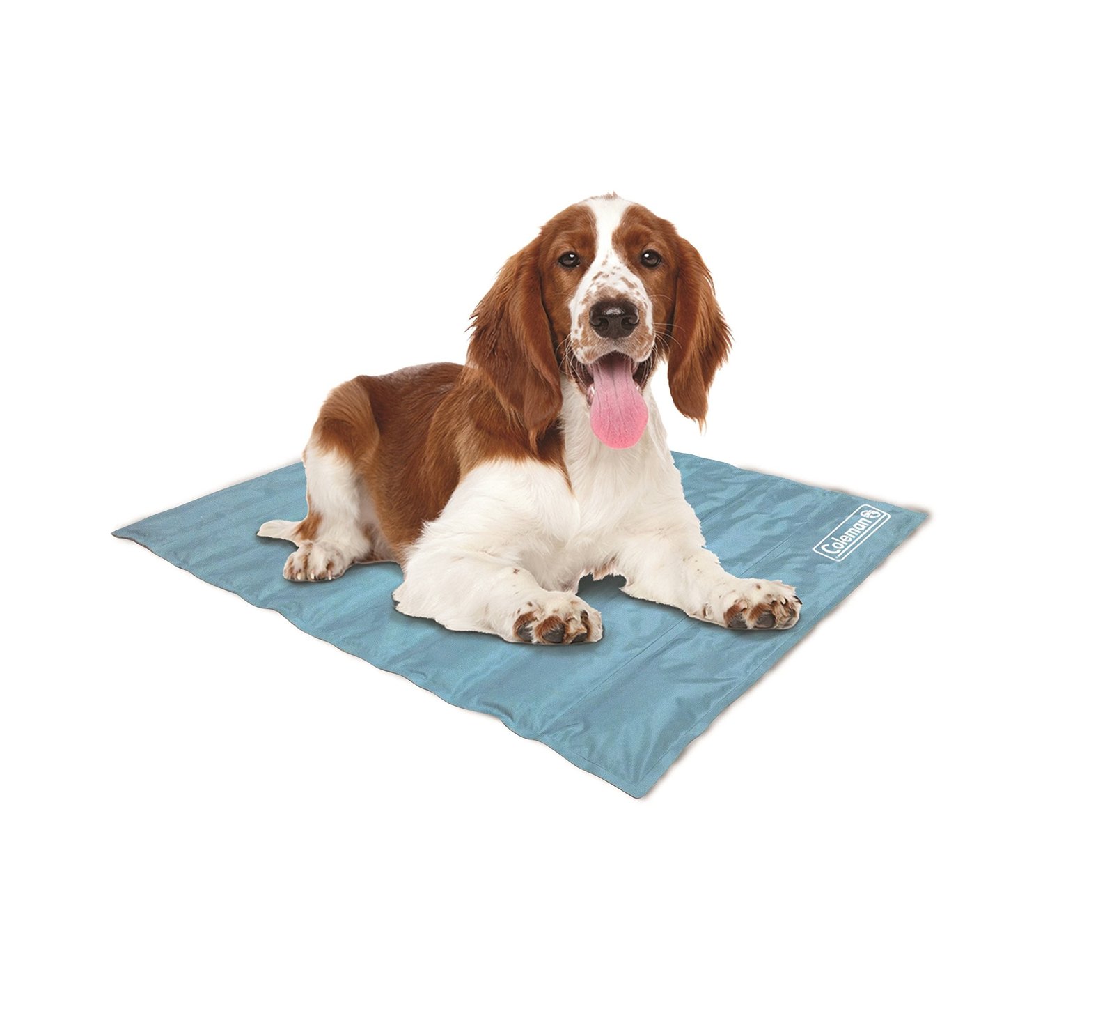 Spaniel lying on the Coleman Comfort Cooling Gel Pet Pad light blue mat
