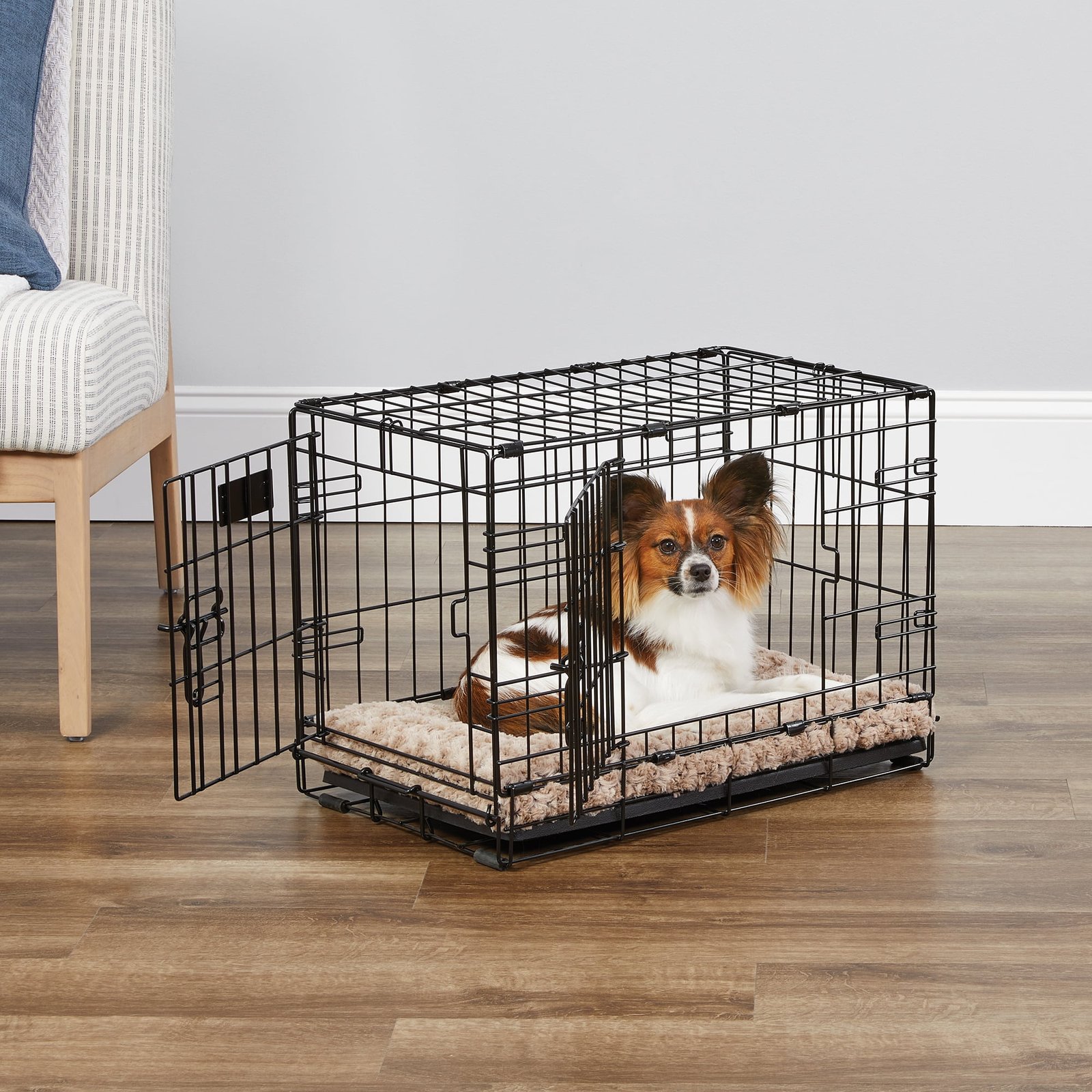 Black MidWest iCrate 22-inch double-door folding wire dog crate