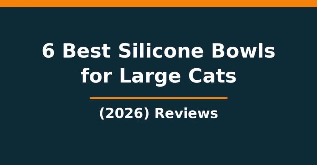 6 Best Silicone Bowls for Large Cats (2026): Reviews