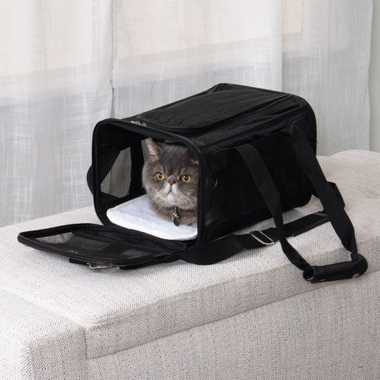 Sherpa Original Deluxe Travel Pet Carrier, Small, Black